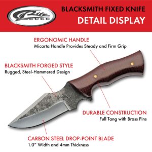 Sczo Supplies 6.25" Fixed Blade Full-Tang Carbon Steel Blacksmith Style Outdoor Hunting/Skinning Knife with Sheath, Brown