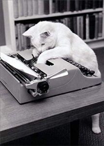 avanti press typewriter cat humorous : funny birthday card