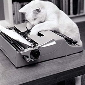 Avanti Press Typewriter Cat Humorous : Funny Birthday Card