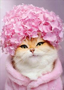 avanti press kitty cat : pink hydrangea cap feminine humorous : funny birthday card for woman : her