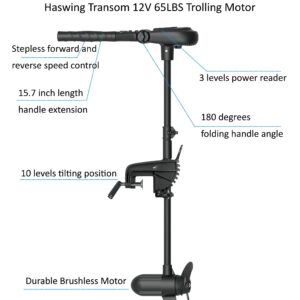 AQUOS Heavy-Duty for One 10.2 plus ft Inflatable Pontoon Boat with Stainless Steel Guard and Folding Seat and Haswing 12V 65LBS Transom Trolling Motor for One Person Fishing