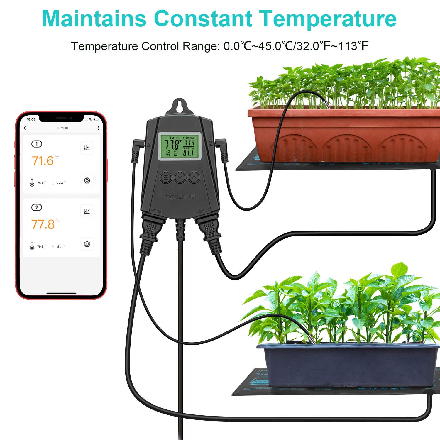 Inkbird WiFi Heat Mat Reptile Thermostat Controller Temperature Controller with 2 Probes and 2 Outlets, IPT-2CH Reptiles Heat Mat Thermostat (Max 250W per Outlet)