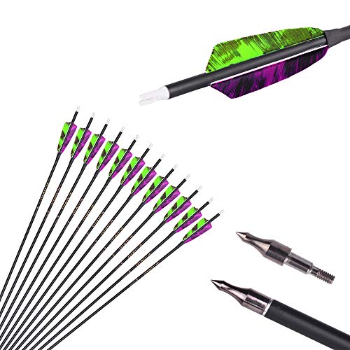 ACCMOS 500 Spine Arrow 25 Inch Arrow Target Practice Arrow Hunting Arrow Carbon Arrows Compound Bow Recurve Bow Adult Youth Archery Indoor Outdoor Shooting Field Tip