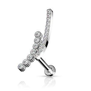 Pierced Owl 16G Stainless Steel Internally Threaded Stacked Double CZ Crystal Lined Curved Top Flat Back Cartilage Helix Ear Lobe Barbell Stud (Silver Tone, 6mm Barbell)