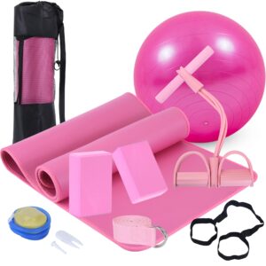 yoga mat set for beginners,yoga mat with carrying strap,yoga blocks 2 pack with yoga strap,yoga ball,ankle puller,11-piece yoga kits and sets for beginners,yoga starter kit for women men (pink)