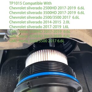 HOTS TP1015 Fuel Filter with Seals for Chevrolet Cruze 2014-2019, Silverado 2500HD,3500HD 2017-2018,GMC Sierra 2500HD3500HD 2017-2018,Replaces #TP1015, 22937279, 23456595, 23304096(2 Pack)