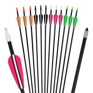 CQ 28inch Target Archery Arrows Practice Fiberglass Arrows for Recurve Bow Training Arrows for Kids Youth and Teens