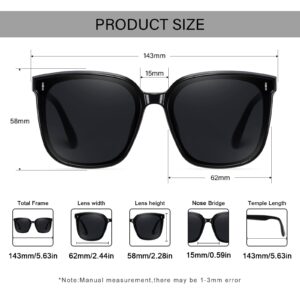 Dollger Retro Oversized Square Sunglasses for Women Trendy Classic Style Sun Glasses UV400 Protection 2 Packs