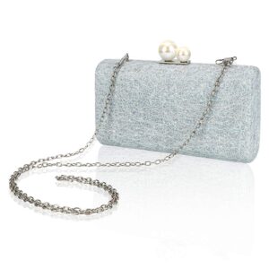 CHISHUNG Evening Handbag for Women Fashion Chain Bag Ladies Clutch Bag Evening Party Bag, Silver