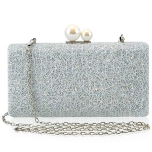 CHISHUNG Evening Handbag for Women Fashion Chain Bag Ladies Clutch Bag Evening Party Bag, Silver