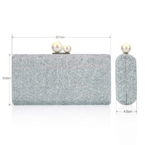 CHISHUNG Evening Handbag for Women Fashion Chain Bag Ladies Clutch Bag Evening Party Bag, Silver