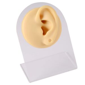 CHUANCI 1pc-2pcs Soft Silicone Fresh Color Flexible Model Ear Displays for Acupuncture Human Model Simulation for Ear Taper Ear Gauge Display Teaching Tool (One Pair Left+Right with Display)