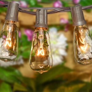 10 Pack Edison Light Bulbs, ST40 Clear Glass Light Bulb Replacement, 7W E17 Screw Base Light Bulbs for Outdoor String Lights Patio Backyard Decor, Warm White