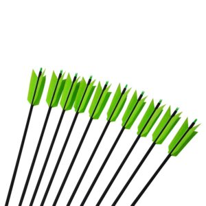 SHARROW 12 Pcs 30Inch Archery Flu Flu Arrow 400 Spine Carbon Arrow Target Practice Arrow with 4 Pcs Feather (Green)