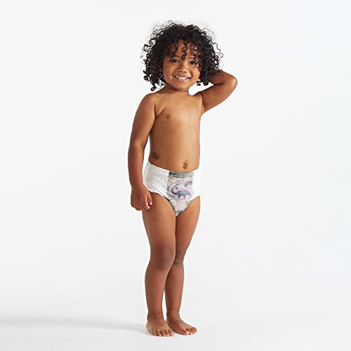 The Honest Company Clean Conscious Training Pants | Plant-Based, Sustainable Diapers | Rompin' & Stompin' + Diggin' It | Size 4T/5T (38+ lbs), 57 Count