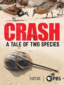 crash: a tale of two species