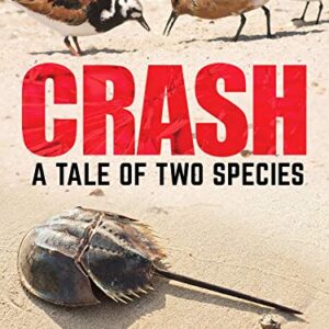 Crash: A Tale of Two Species