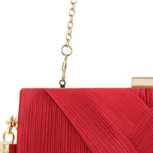 LIFEWISH Tassel Evening Bags Clutch Purses for Women for Wedding Prom Night out Party