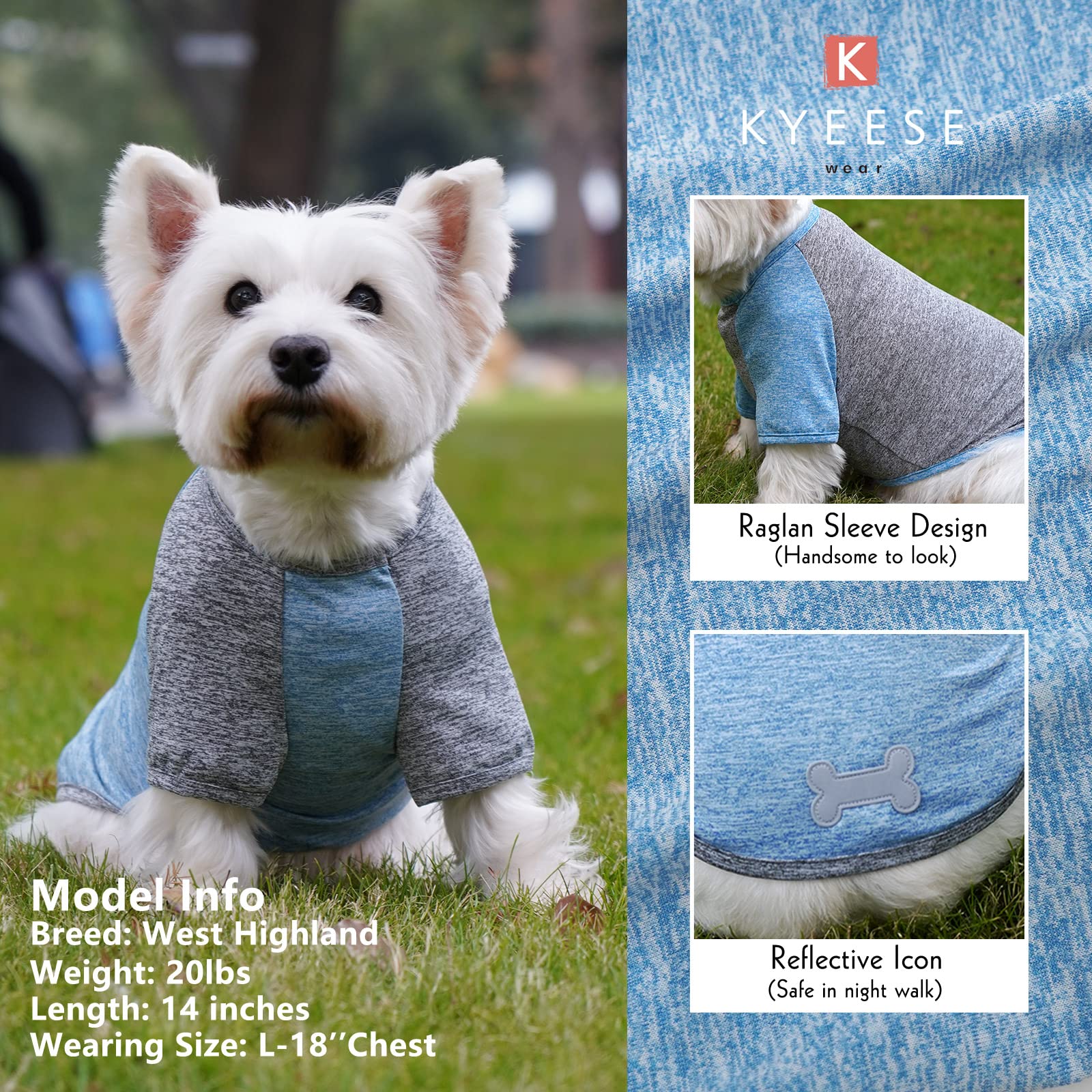 KYEESE 2 Pack Dog Shirts Quick Dry Quick Dry Lightweight Stretchy Dog T-Shirts with Reflective Label Raglan Sleeve Cat Shirts Protects Against Foxtails Dog Clothes