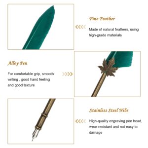 AHIER Quill Pen and Ink Set, Feather Pen Quill Pen Set Includes 5 Steel Replacement Nibs,Pen Nib Base and Dip Ink Bottle for Antique Calligraphy