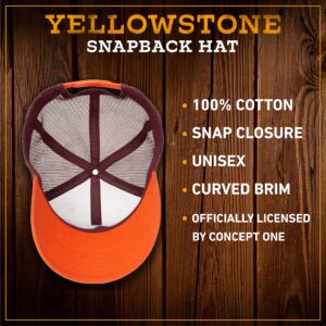 Yellowstone Trucker Hat, Mesh Adjustable Snapback Baseball Cap with Curved Brim, Orange, One Size