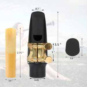 29 Pcs Alto Saxophone Mouthpiece Kit - Includes Metal Ligature 2.5 Reeds Cushions Pads and Plastic Cap