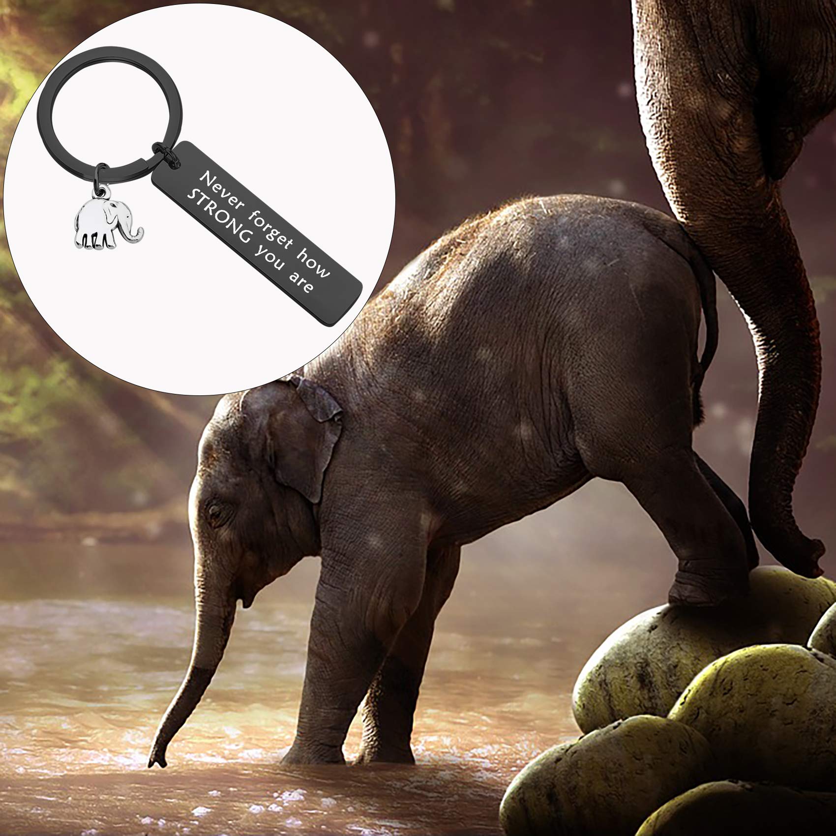 bobauna Elephant Keychain Never Forget How Strong You Are Strength Jewelry Uplifting Gift For Friend Family Animal Lovers (never forget black)