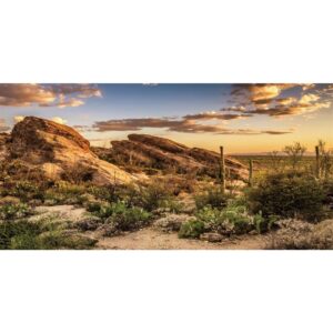 AWERT Reptile Habitat Background Blue Sky Oasis Cactus Sun and Desert Terrarium Background 30x12 inches Polyester Background