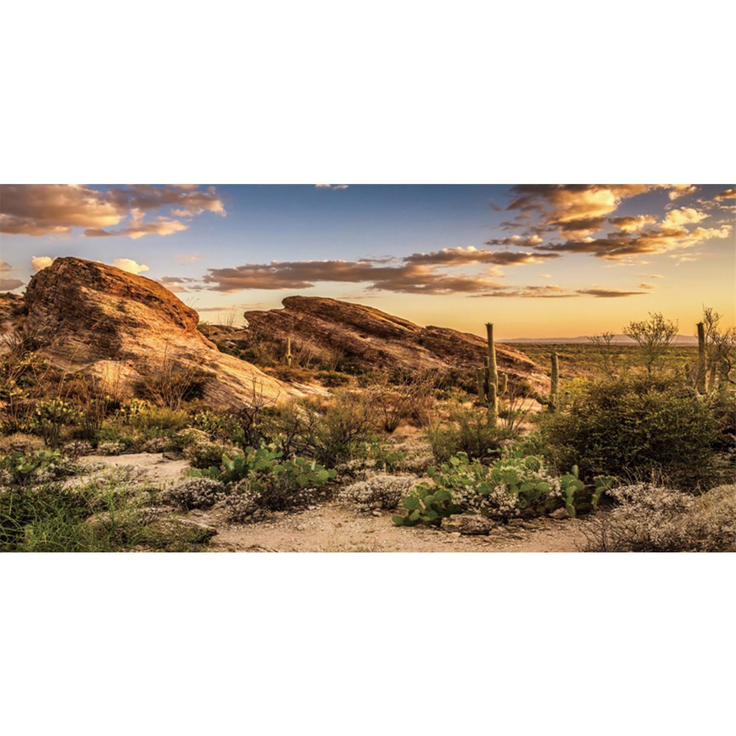 AWERT Reptile Habitat Background Blue Sky Oasis Cactus Sun and Desert Terrarium Background 30x12 inches Polyester Background