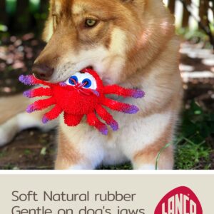 Sensory Spider - Squeaky Dog Toys - Medium Breeds - Natural Rubber/Latex - Comply with Same Safety Standards as Baby Toys