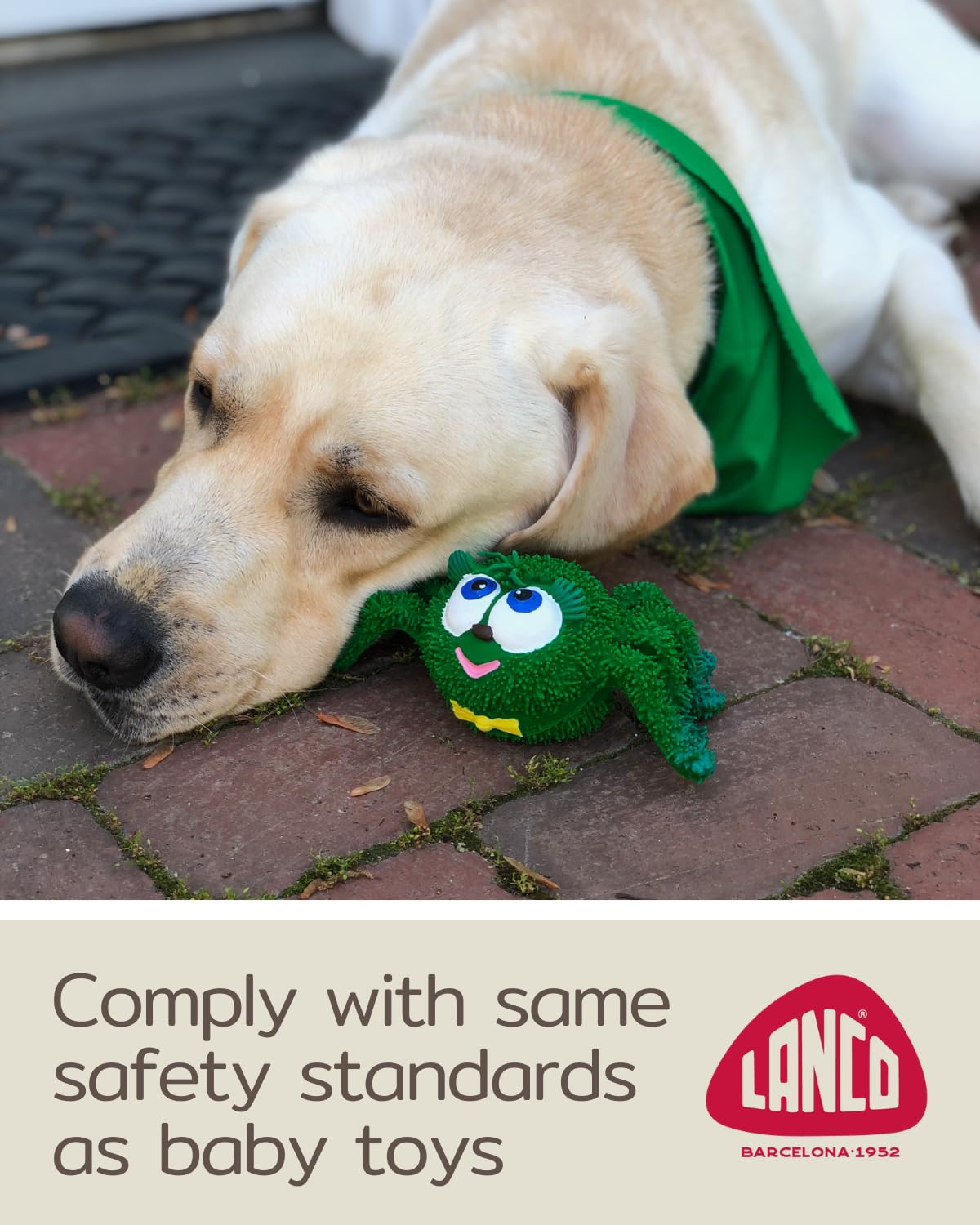 Sensory Spider - Squeaky Dog Toys - Medium Breeds - Natural Rubber/Latex - Comply with Same Safety Standards as Baby Toys