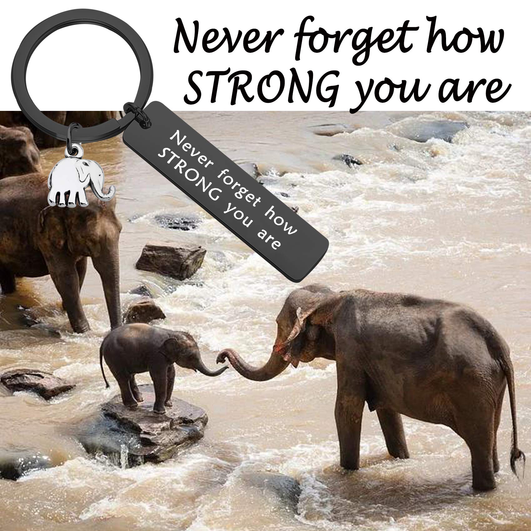 bobauna Elephant Keychain Never Forget How Strong You Are Strength Jewelry Uplifting Gift For Friend Family Animal Lovers (never forget black)