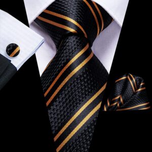 Dubulle Mens Paisely Floral Silk Tie for Men Striped Necktie and Pocket Square Set Wedding Business,Black