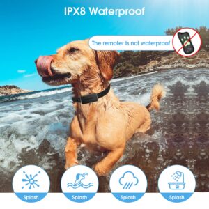 Bark Collar with Remote, Quick Charge IPX8 Waterproof Dog Shock Collar with APP, Free Combination Mode with Custom Sound,Vibration,Shock, T1sPro Include B1sPro All Functions