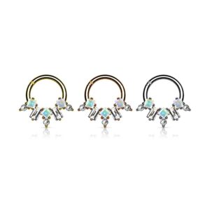 Pierced Owl 16GA Stainless Steel Multi CZ Crystal Fan Cartilage Helix Daith Septum Hinged Segment Ring (Silver Tone)