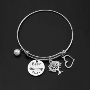 Lywjyb Birdgot Best Gammy Ever Gift Best Gammy Ever Bracelet Gift Best Gammy Ever Funny Mother's Day Gift Best Gammy Ever Christmas Gift (Gammy br)