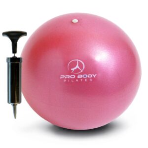 probody pilates ball small exercise ball w/pump, 9 inch barre ball, mini soft yoga ball, workout ball for stability, barre, ab, core, and physical therapy ball at home gym & office (pink)