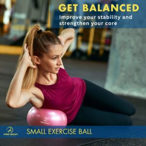 ProBody Pilates Ball Small Exercise Ball w/Pump, 9 Inch Barre Ball, Mini Soft Yoga Ball, Workout Ball for Stability, Barre, Ab, Core, and Physical Therapy Ball at Home Gym & Office (Pink)