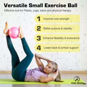 ProBody Pilates Ball Small Exercise Ball w/Pump, 9 Inch Barre Ball, Mini Soft Yoga Ball, Workout Ball for Stability, Barre, Ab, Core, and Physical Therapy Ball at Home Gym & Office (Pink)