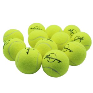 Magicorange Tennis Balls, 12 Pack Advanced Training Tennis Balls Practice Balls, Pet Dog Playing Balls, Come with Mesh Bag for Easy Transport, Good for Beginner Training Ball (Green)