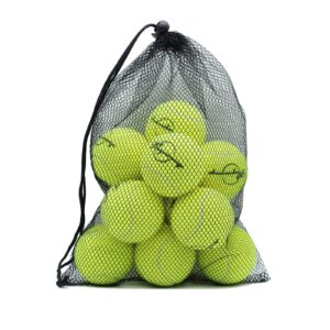 Magicorange Tennis Balls, 12 Pack Advanced Training Tennis Balls Practice Balls, Pet Dog Playing Balls, Come with Mesh Bag for Easy Transport, Good for Beginner Training Ball (Green)