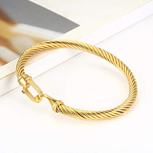 COLORFUL BLING Unisex Stainless Steel Cable Wire Bracelets Charm Bangle Bracelet Best Friend Sister Fashion Jewelry Gift for Women Men - dia 2.44inch gold