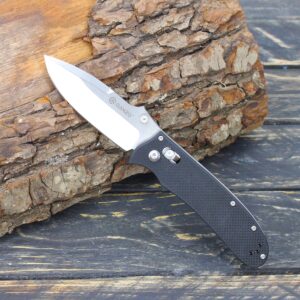 Ganzo D704-BK Pocket Folding Knife D2 Steel Blade G10 Anti-Slip Handle with Clip Hunting Fishing Gear Camping Outdoor Folder EDC Pocket Knife (Black)