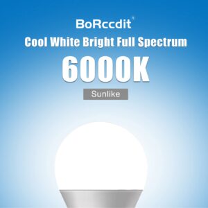 BoRccdit Full Spectrum Light Bulb 4PK, 6000K Natural Sunlight Bulbs, Bright Light Bulbs 9W 60W Equivalent, Cool White Comfortable Light, A19, E26/E27