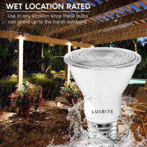 LUXRITE 6 Pack PAR20 LED Bulbs, 50W Equivalent, 2700K Warm White, Dimmable LED Spotlight Bulb, Indoor Outdoor, 7W, 500 Lumens, Wet Rated, E26 Standard Base, UL Listed