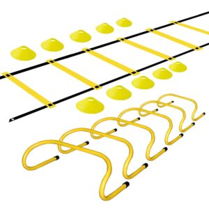 TNZMART Agility Ladder and Disc Cones Training Set Adjustable Rungs Training Ladder with 10 Plastic Sport Cones for Training (Yellow, 6 Hurdles)