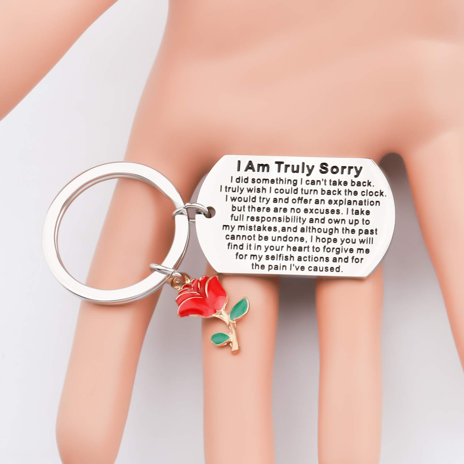 WSNANG Apology Keychain Gift Sorry Jewelry I Am Truly Sorry Gift Idea for Apologizing Forgive Me Gifts (I Am Truly Sorry DT)