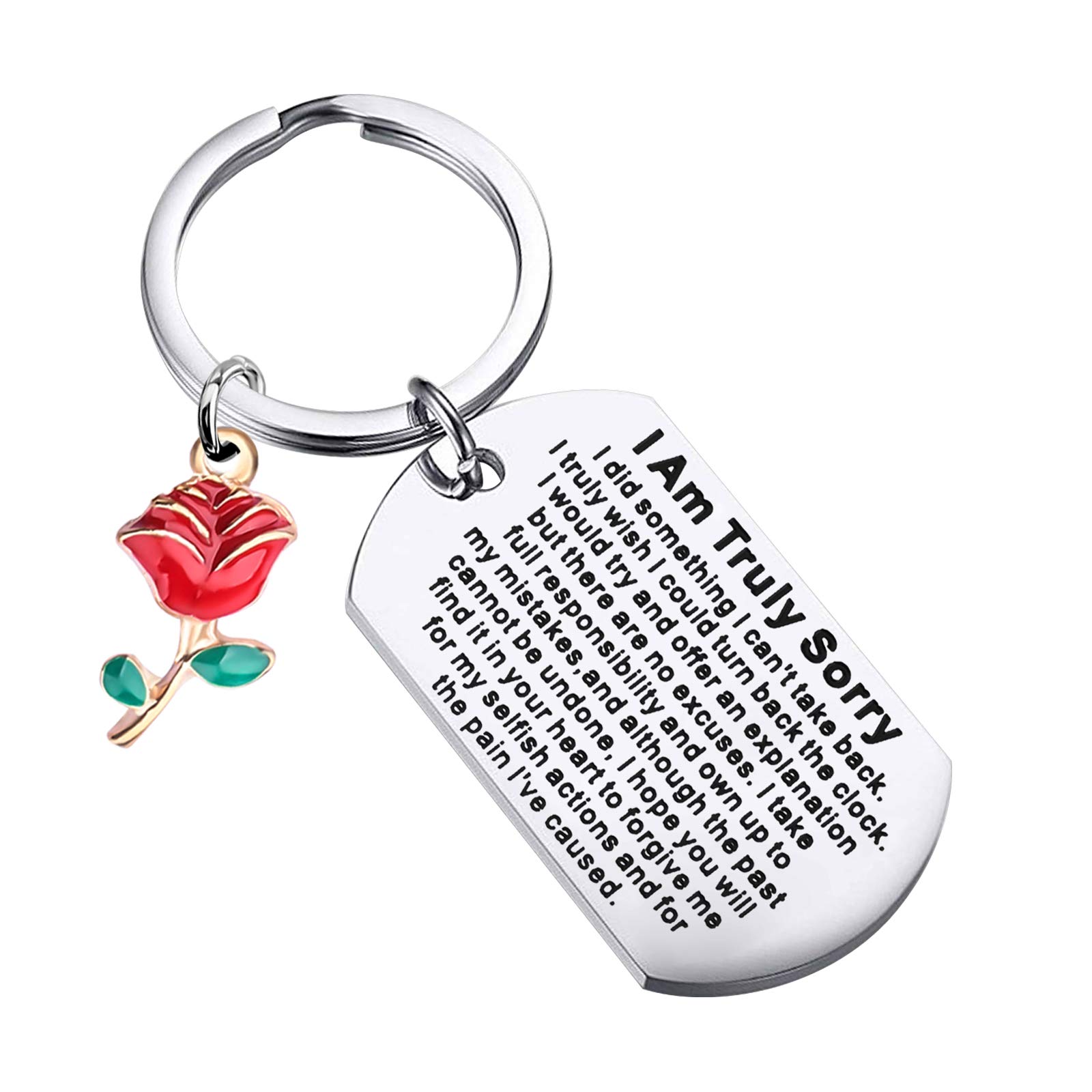 WSNANG Apology Keychain Gift Sorry Jewelry I Am Truly Sorry Gift Idea for Apologizing Forgive Me Gifts (I Am Truly Sorry DT)