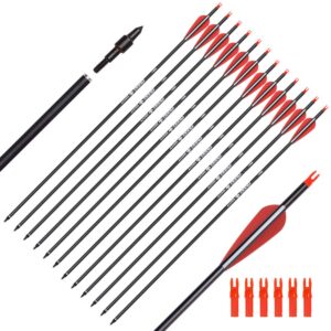 ELONG 12PCS 26" Arrows for Compound Bows,Carbon Hunting Arrows for Archery Spine 500 with 100 Grain Screw Tips, for Compound & Recurve & Traditional Bow(with 6 Extra Nocks)