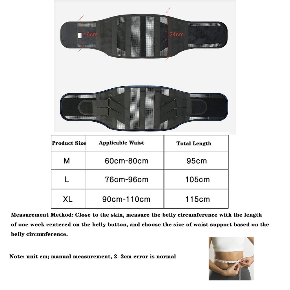 LSRRYD Light and Breathable Premium Back Support Belt for Men Women Double Pull Neoprene Lumbar Support Belt Fit Prevention Spine Injury and Improves Posture (Size : XL)